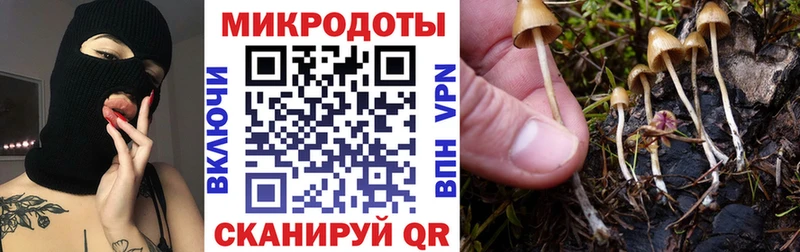 Псилоцибиновые грибы GOLDEN TEACHER  Пятигорск 
